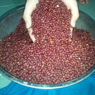 Đậu đỏ Organic