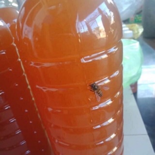 Mật ong nguyên chất Đak lak 1L