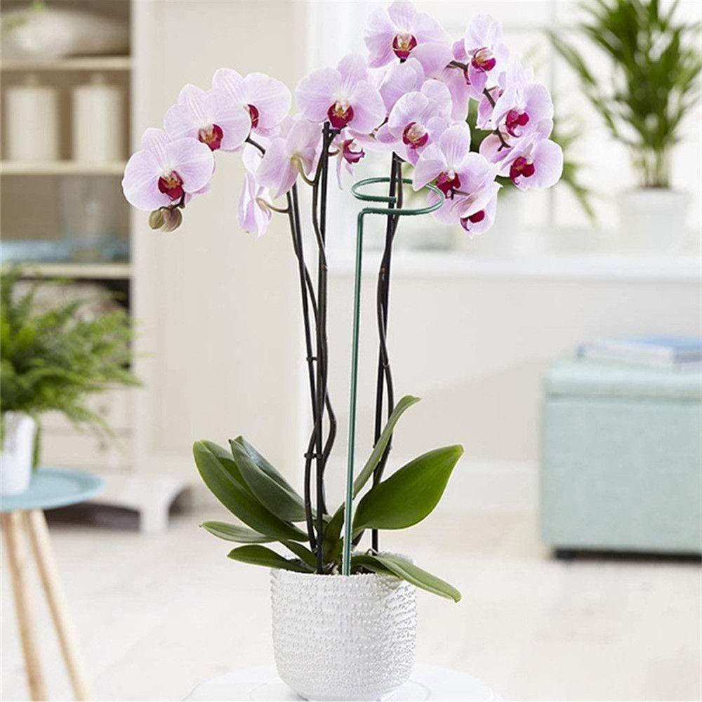 Set 1 / 10 Dụng Cụ Hỗ Trợ Trồng Cây Thân Đơn Bằng Thép Không Gỉ