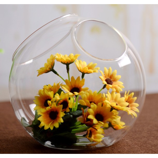 Chậu kiểng thủy tinh C2L