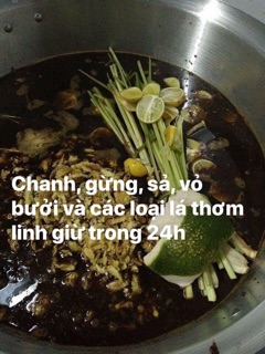 Nước gội bồ kết Sorana
