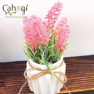 Cây giả- Chậu hoa Lavender để bàn