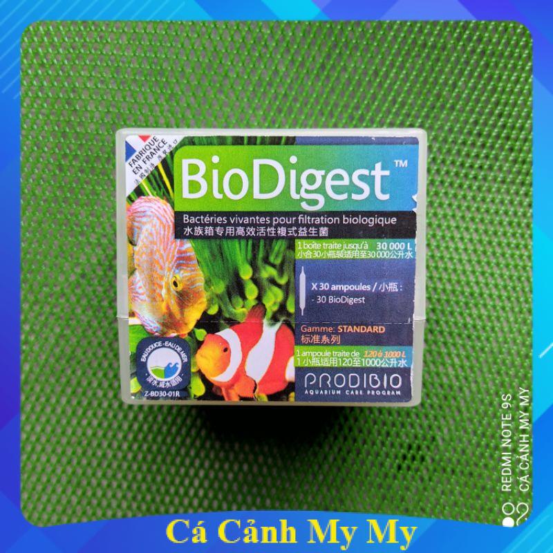 Vi sinh sống BioDigest | Vi sinh ống cao cấp Bio Digest Prodibio