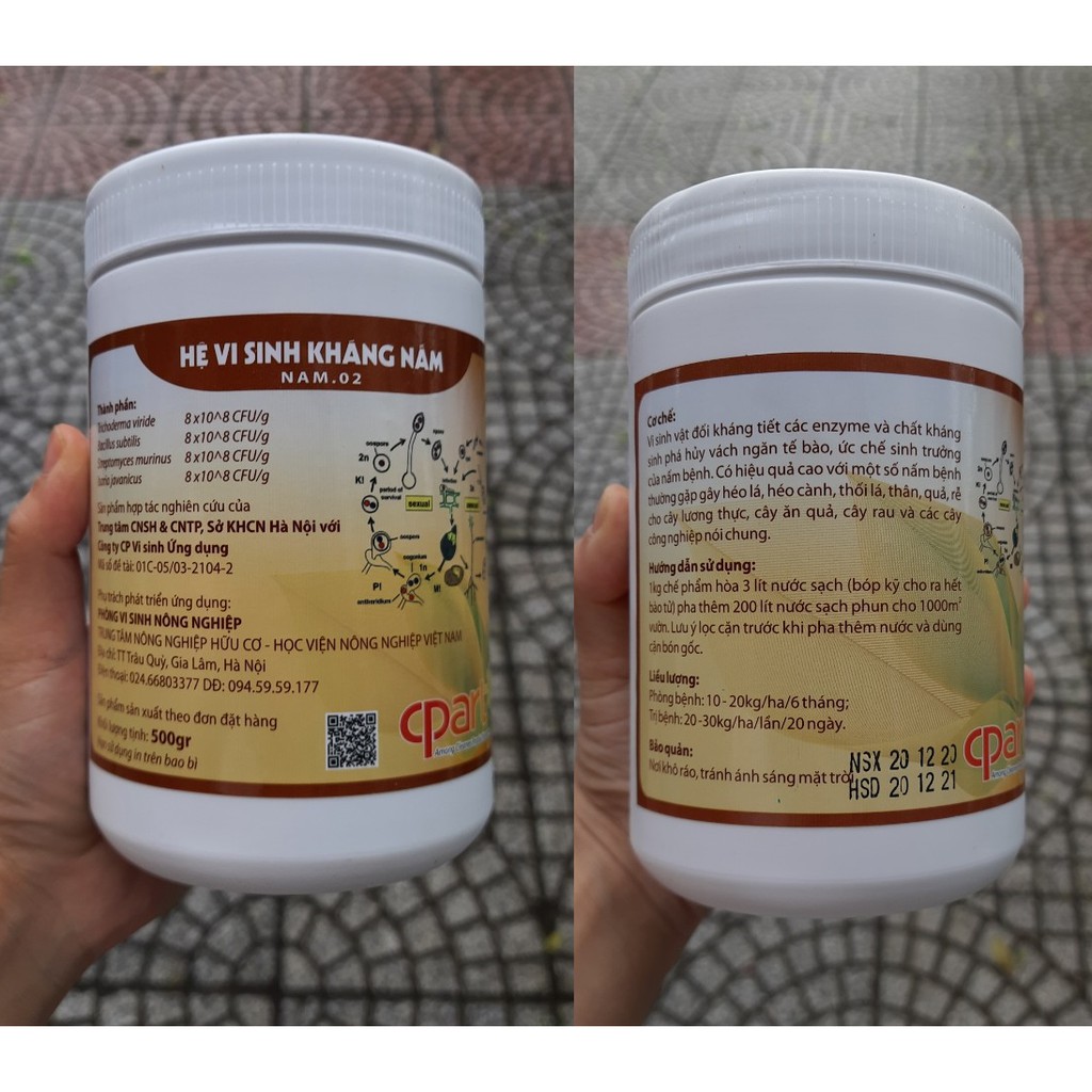 Hệ vi sinh kháng nấm Trichoderma Bacilus - Chế phẩm Kháng Nấm Cho Lan và Hồng 100GR