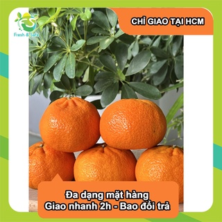 [Chỉ Giao HCM] Quýt Ai Cập