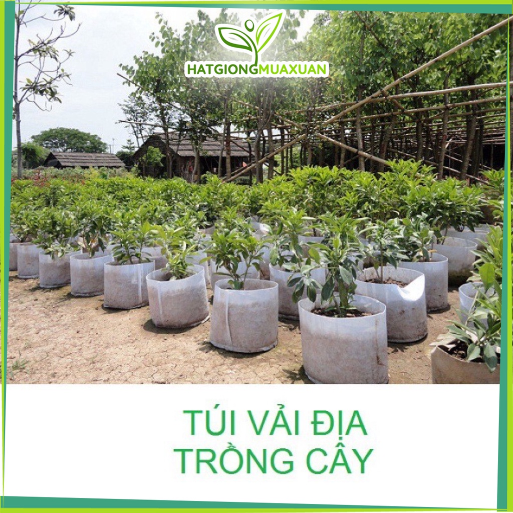 5 túi vải 2 quai đk 40- túi vải địa trồng cây