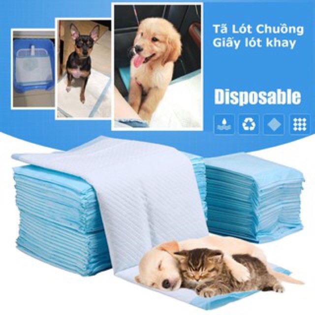 Lẻ 1 miếng Tã giấy cho chó mèo (2 size) dùng lót khay vệ sinh chó hoặc lót chuồng chó