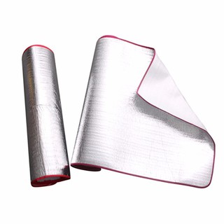 chiếu văn phòng - chiếu văn phòng