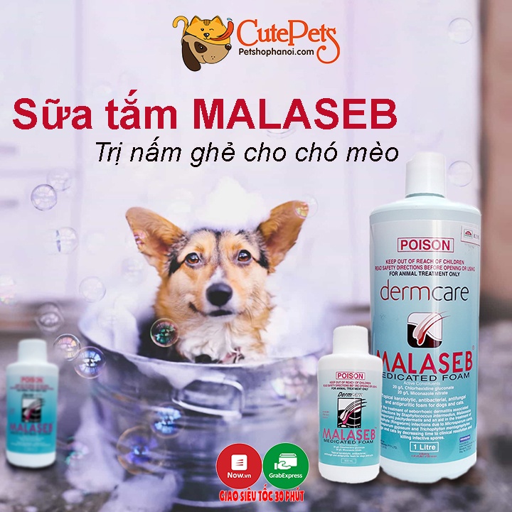 Sữa tắm trị nấm, viêm da DermCare Malaseb 100ml cho chó mèo - CutePets