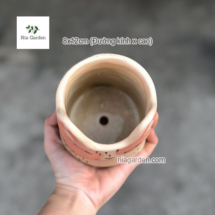 Chậu chó cam trồng cây để bàn mini sen đá xương rồng Nia Garden N4