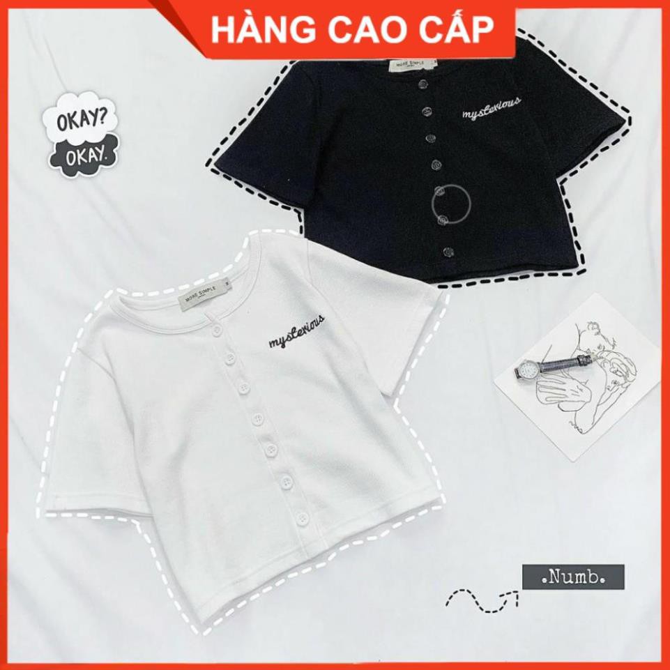 Áo Croptop Cúc Dọc, Áo Croptop Ôm - [HÀNG CAO CẤP] | BigBuy360 - bigbuy360.vn