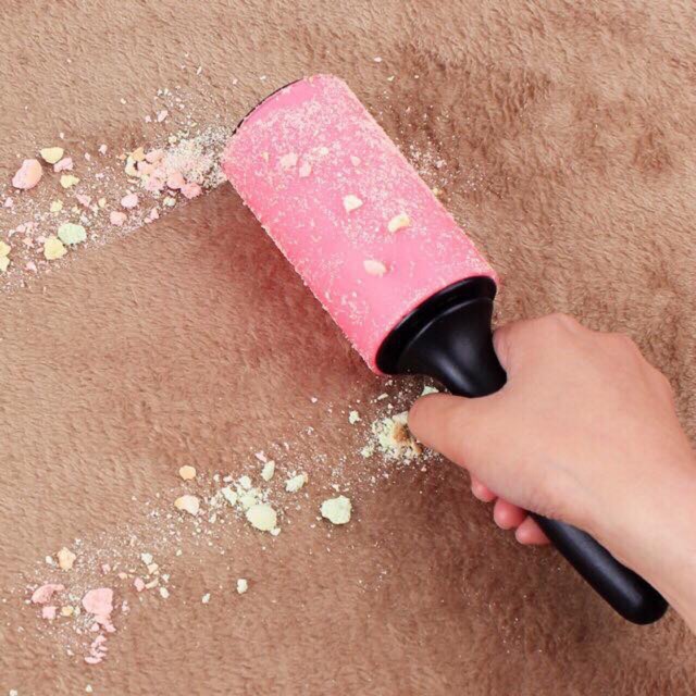 CÂY LĂN LẤY LÔNG CHÓ MÈO