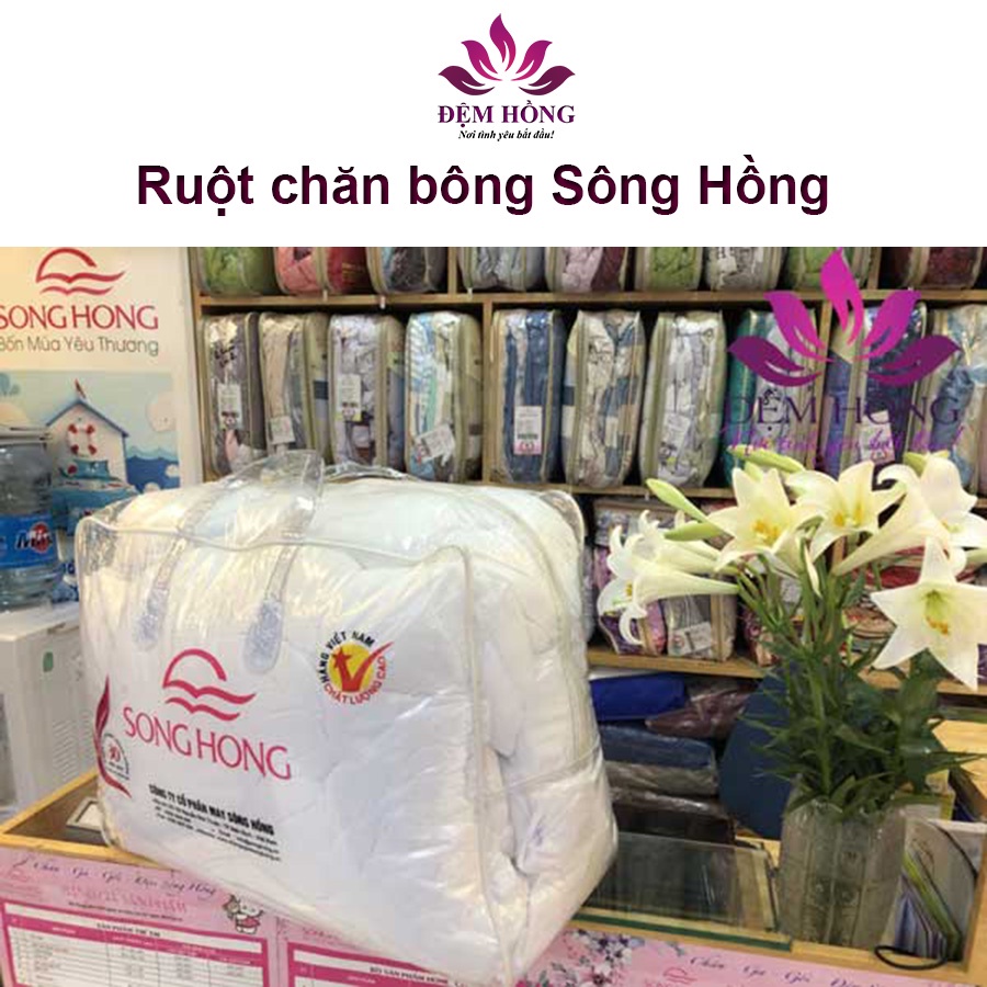 Ruột Chăn Bông Sông Hồng Siêu Nhẹ, Siêu Mềm, Kháng Khuẩn Cao Cấp 2 Loại Dày/Mỏng