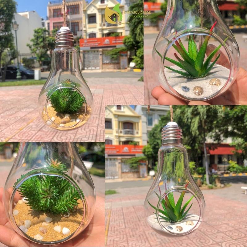 Terrarium bóng đèn thủy tinh cùng sen đá xương rồng nhân tạo, bóng đèn treo trang trí, tiểu cảnh mini - Kute Nest