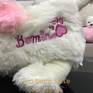 Gấu bông - Chó tiểu thư và Husky