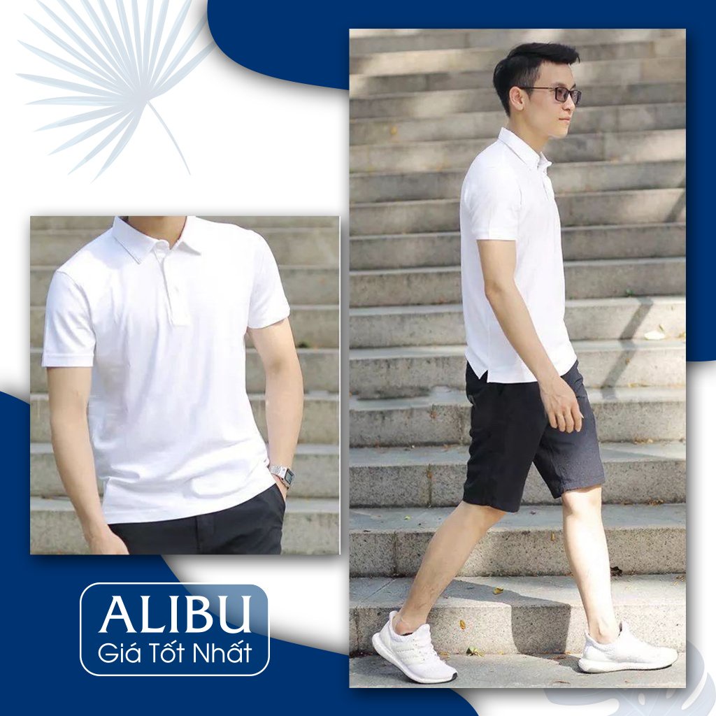 áo Thun Có Cổ Cá Sấu 4 Chiều Giá Rẻ đồng phục nhóm công ty nam nữ | BigBuy360 - bigbuy360.vn