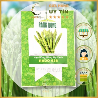 Hạt giống Măng Tây Xanh Rado 636  Dễ Trồng, Thu Hoạch Quanh Năm (0.2 gr)