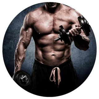 Bodybuilding No 1