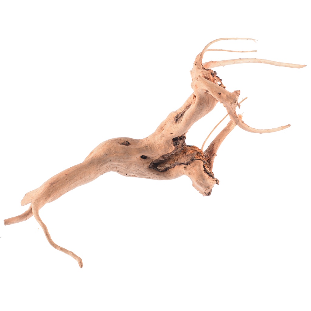 Đồ Trang Trí Hồ Cá Hình Thân Cây Gỗ ☆Bjfranchisesky