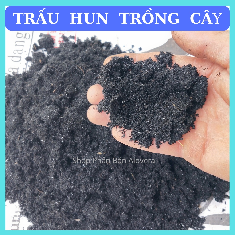 Trấu Hun Trồng Cây