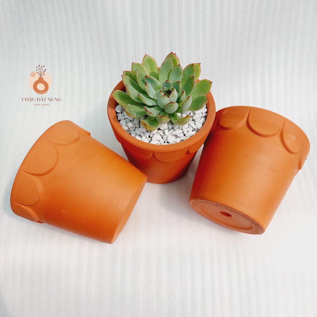 Chậu đất nung, Chậu sen đá - Ly gờ hoa, miệng chậu 12cm, chiều cao 11cm