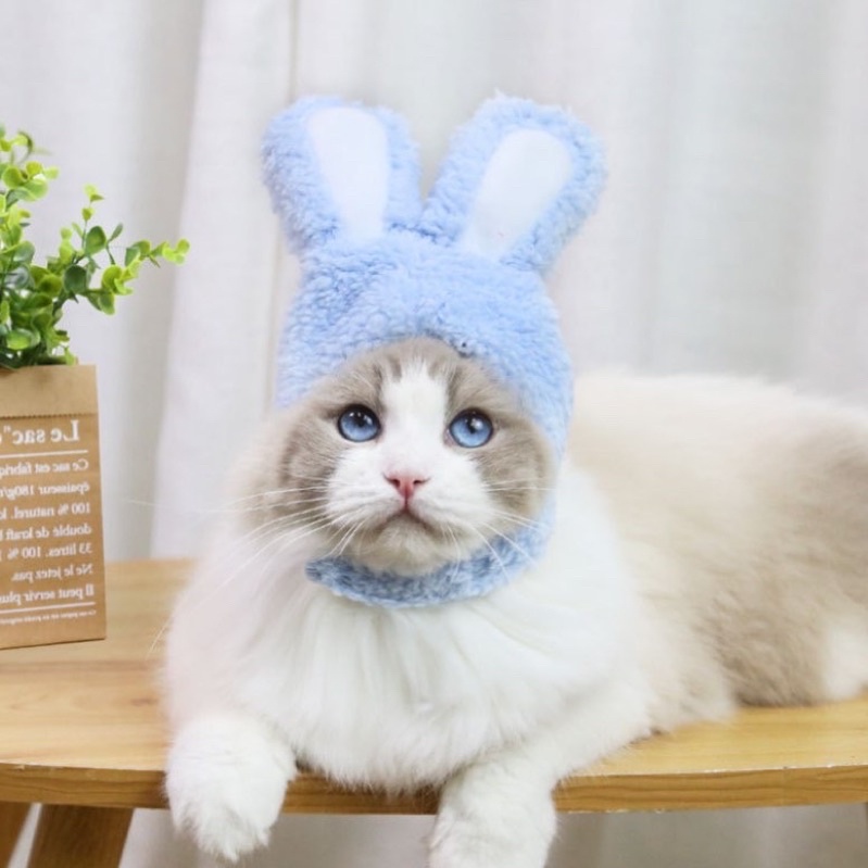 Mũ lông tai thỏ cho thú cưng siêu cute, nón cho chó mèo