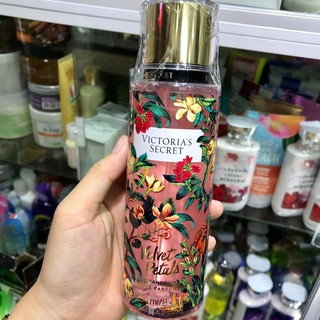 𝗫𝗜̣𝗧 𝗕𝗢𝗗𝗬 𝗩𝗘𝗟𝗩𝗘𝗧 𝗣𝗘𝗧𝗔𝗟𝗦 Victoria Secret 250ml