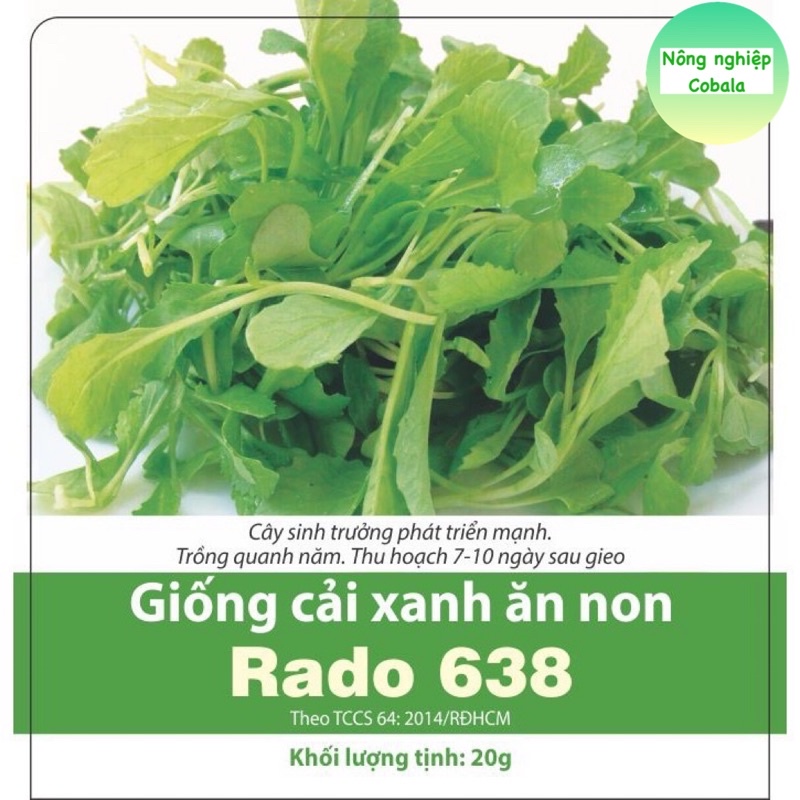 Hạt Giống Cải Bẹ Xanh Ăn Non 20gr