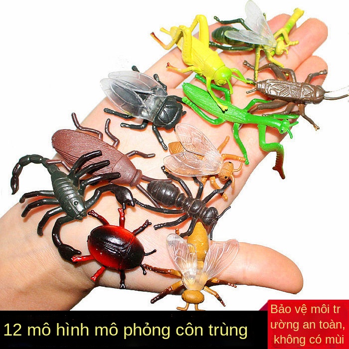 12 Đồ Chơi Mô Hình Côn Trùng Biết Khỉ Con chuồn Bọ Cạp Cò Kiến Bộ Động Vật Trẻ Em Bé Trai