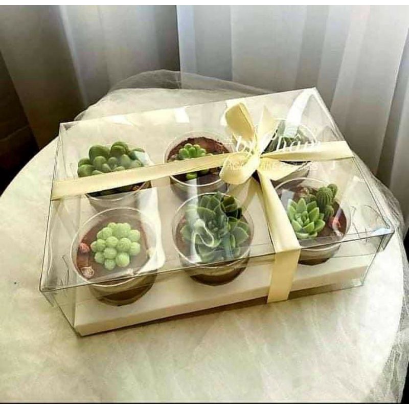 hộp cupcake 6 lỗ nhựa trong cứng cáp sang trọng