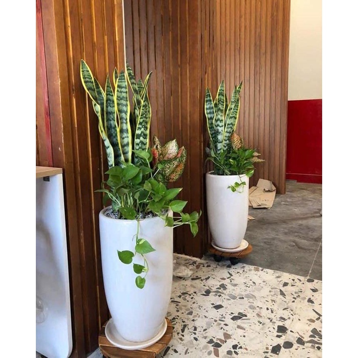 Đế gỗ đặt chậu cây di động, bánh xe có khóa