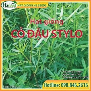Hạt giống cỏ đậu stylo - gói 50g - cỏ dinh dưỡng cho chăn nuôi bò, dê, cừu, thỏ, cá,...