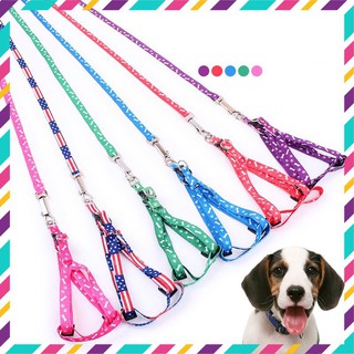 Dây Dắt Chó Mèo Polyester kích thước 1.0, 1.5, 2cm – Mã VCDD03