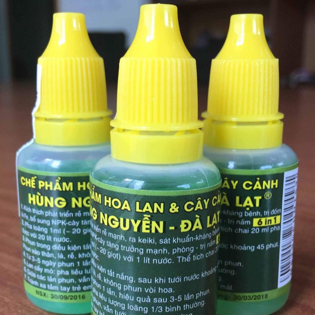 Chế phẩm Hoa Lan và Cây Cảnh Hùng Nguyễn - Đà Lạt