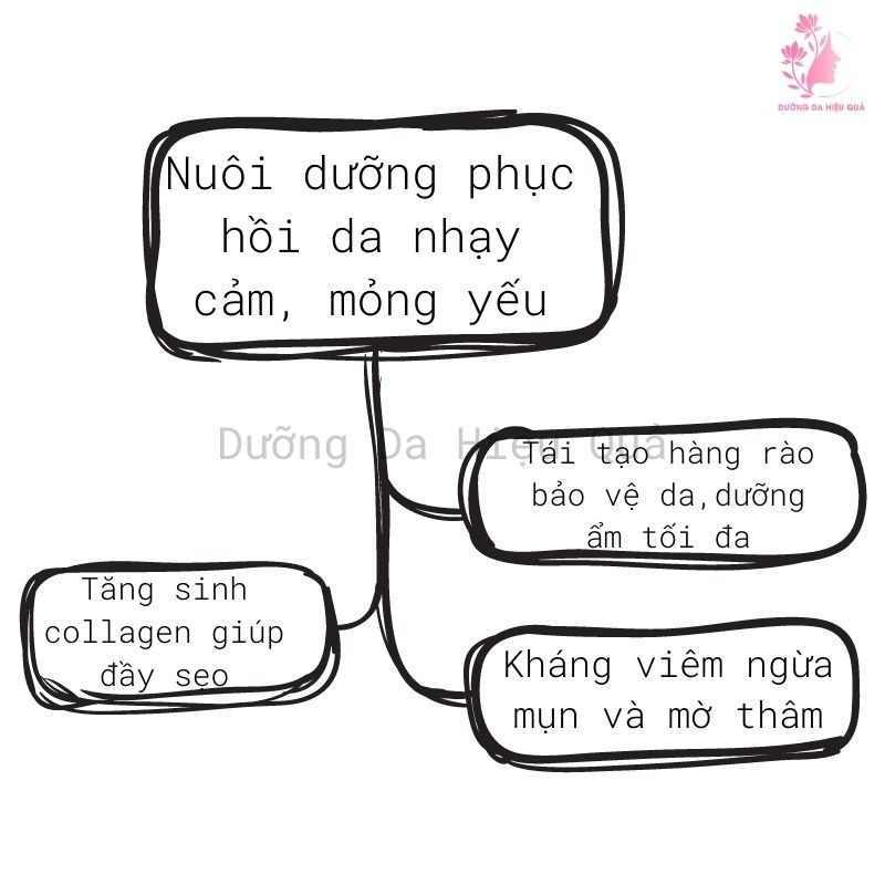 Kem dưỡng phục hồi da hư tổn, da mỏng yếu và phục hồi da sau peel Innoderm Plus