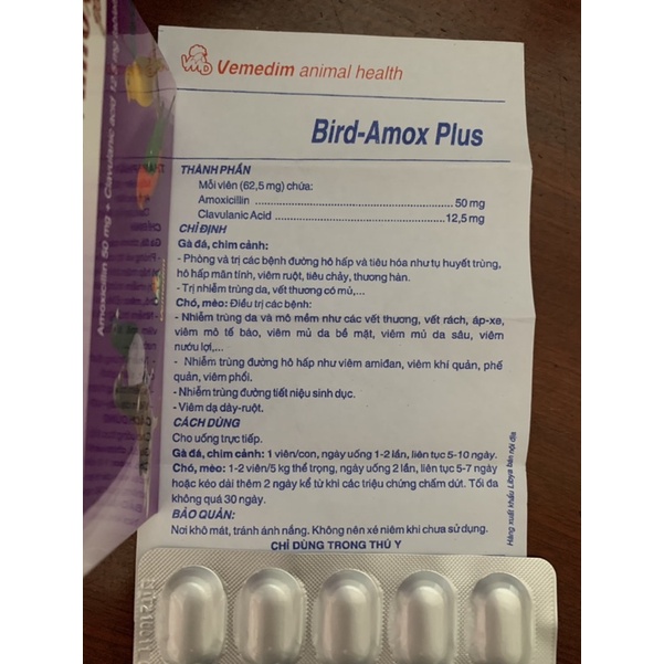 2 Viên Bird Amox plus tác dụng hô hấp tiêu hoá cho chó mèo chim gà