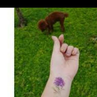 HÌNH XĂM DÁN TATTOO  hoa lá