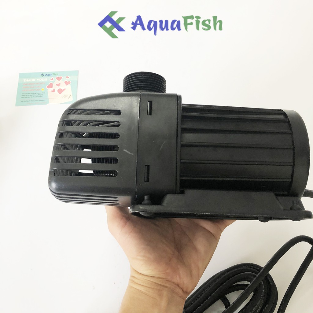 Máy Bơm Chìm Hồ Cá Koi Jebao TM 3500 - 10000 (máy bơm nước chuyên dụng cho hồ koi)