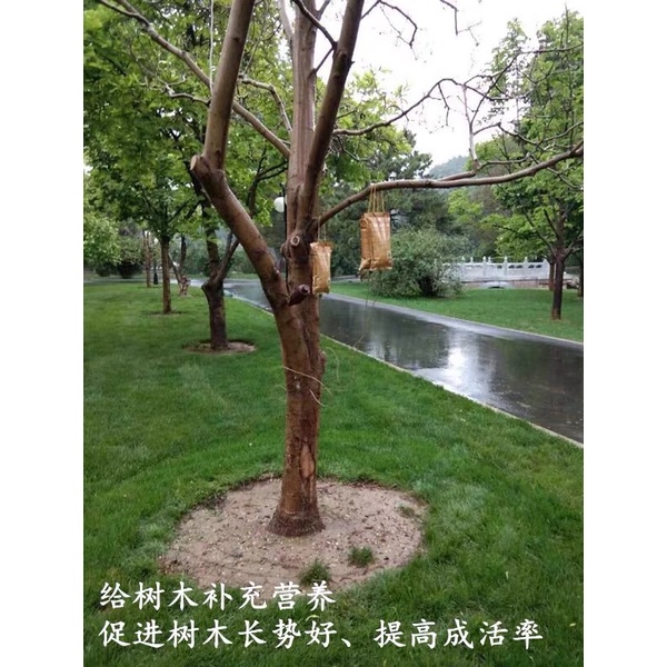 túi 1 lít dịch truyền dinh dưỡng cho cây