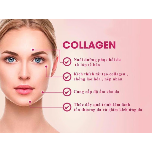 Bột Collagen Nguyên Chất OVOVITA Túi Zip 1kg