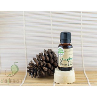 SHEAGHANA - DẦU HẠT PHỈ (HAZELNUT OIL) 20ML