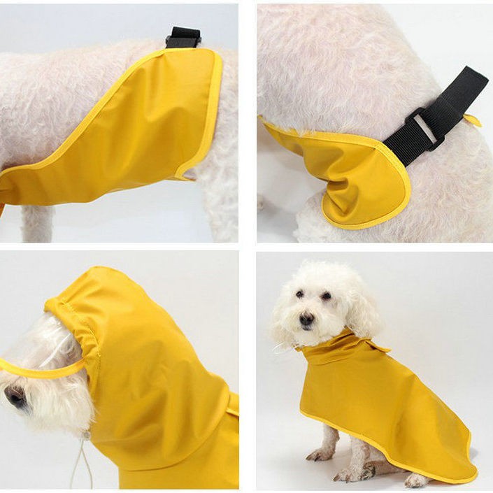 Áo mưa cho chó con poncho bảo vệ bụng toàn diện Teddy Shiba Inu Corgi bốn chân đặc biệt chống thấm nước mùa thu và