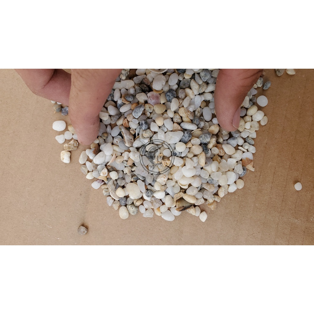 100g sạn suối trang trí, trải nền bể thủy sinh cá cảnh