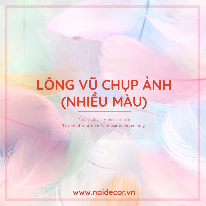 Lông vũ trang trí chụp ảnh nhiều màu