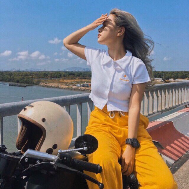 Áo Thun Polo Nữ🌸FREESHIP🌸 Áo Phông Polo  Cực Đẹp  hoa cúc  freesize dưới 58 kg < chất vải cotton > siêu mát | BigBuy360 - bigbuy360.vn