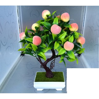 Cây đào trang trí tết