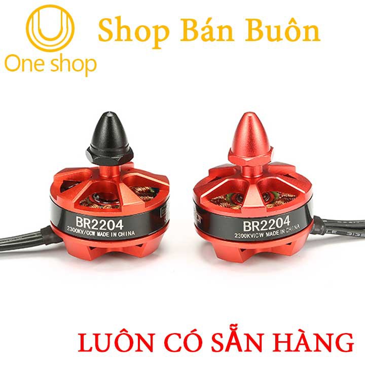 1 Cặp Động Cơ Brushless BR2204 2300KV