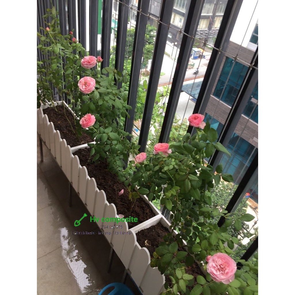 Chậu trồng cây composite full màu + size