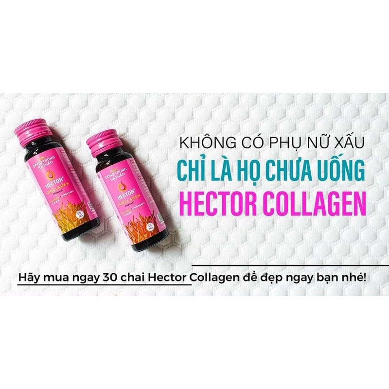 Hector Collagen Đông Trùng Hạ Thảo