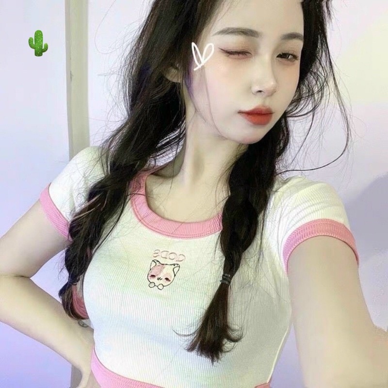 Áo croptop chú cáo nhỏ xinh PC